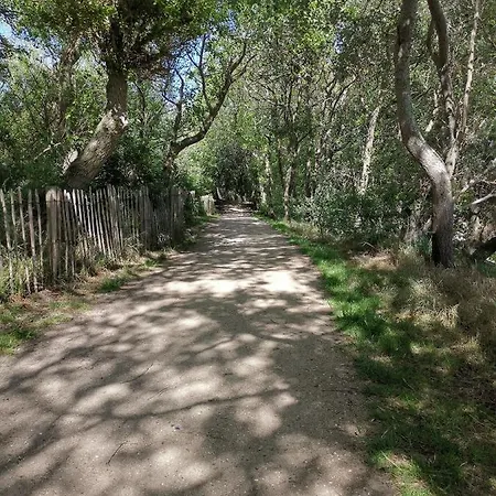 Nyaraló Griad In De Duinen