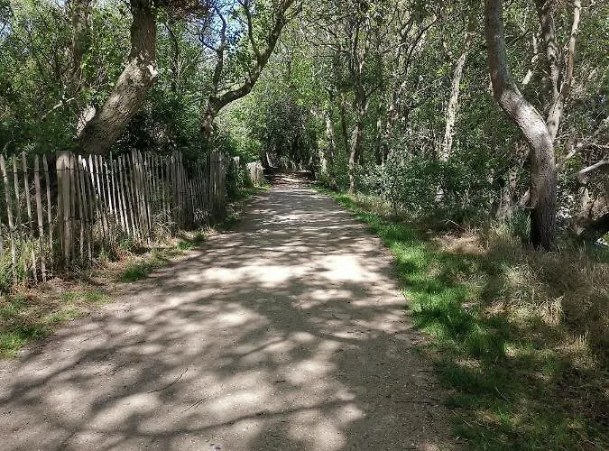 Vakantiehuis Griad In De Duinen